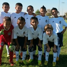 South Valley Chivas 06B