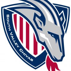 Chivas 12g NPL team looking for competitive girl goalkeeper born in 2012-13